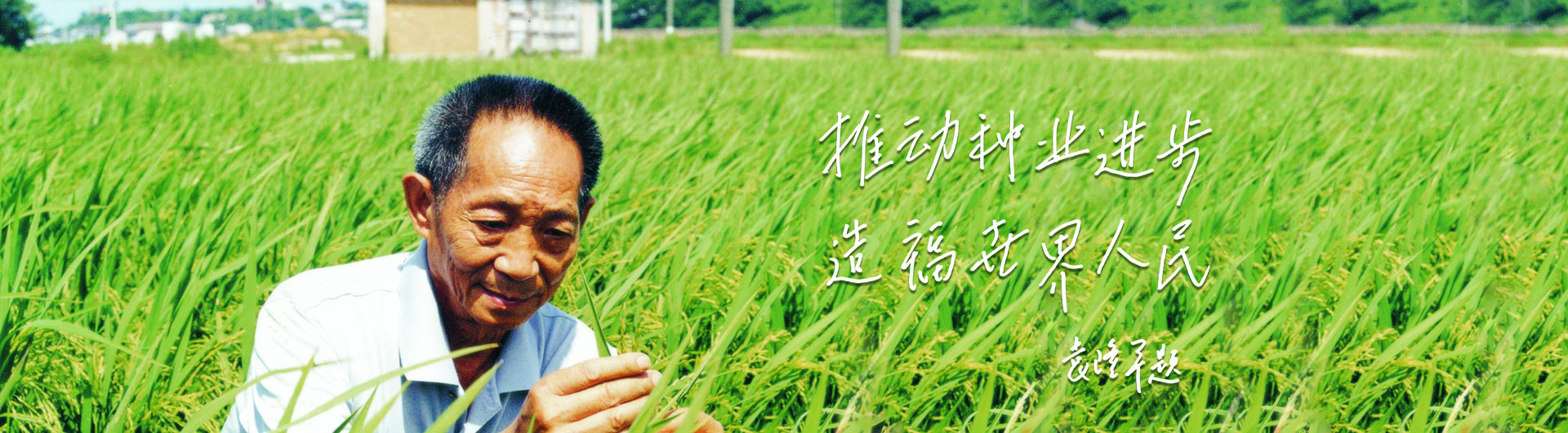 abg欧博官网高科
