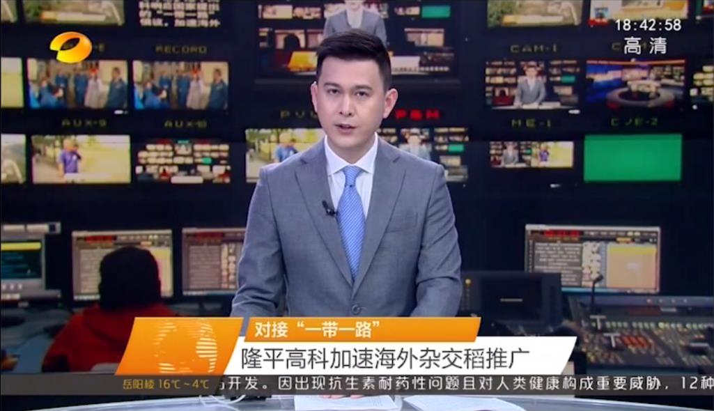 对接“一带一路” abg欧博官网高科加速海外杂交稻推广